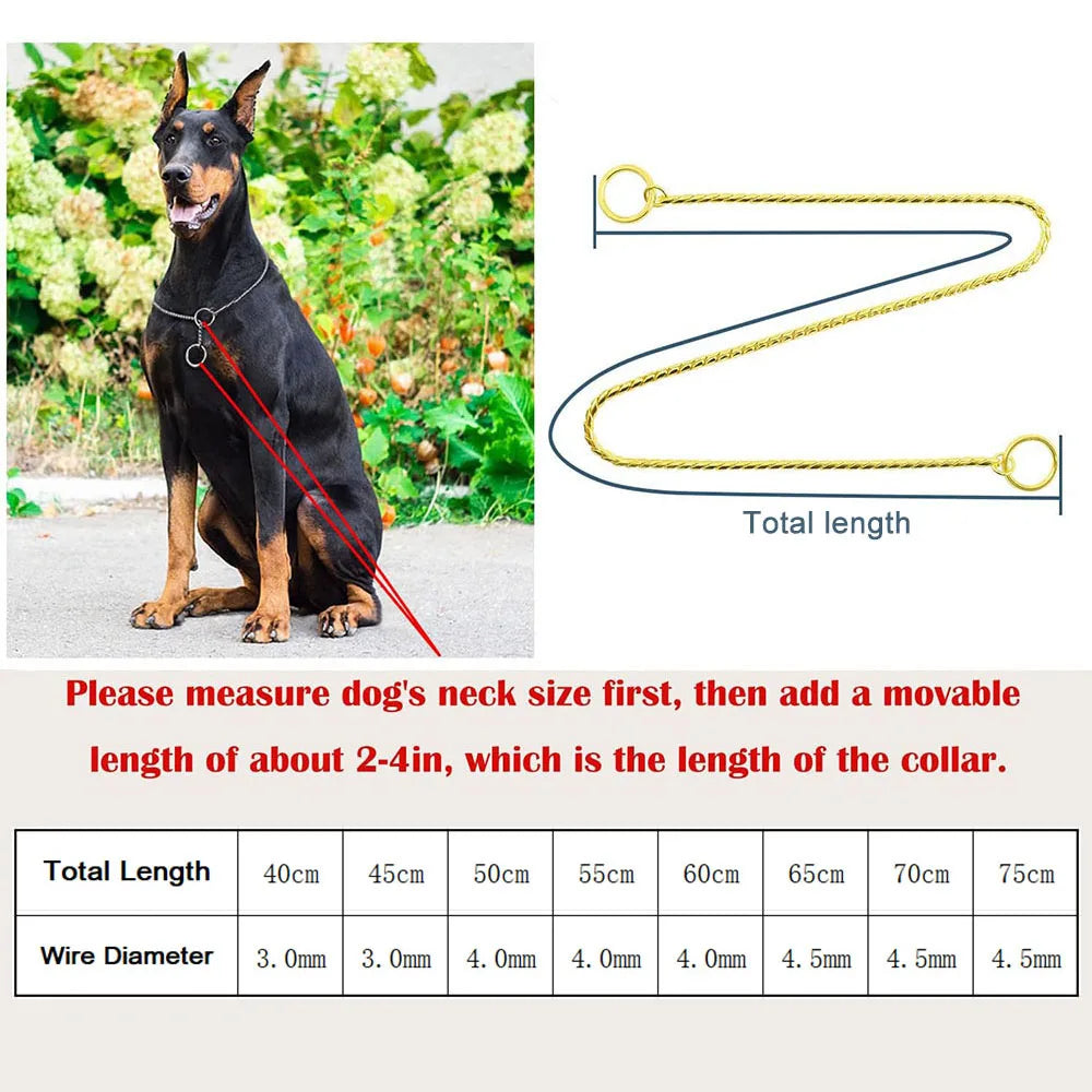 Metal Chain Dog Show Collar