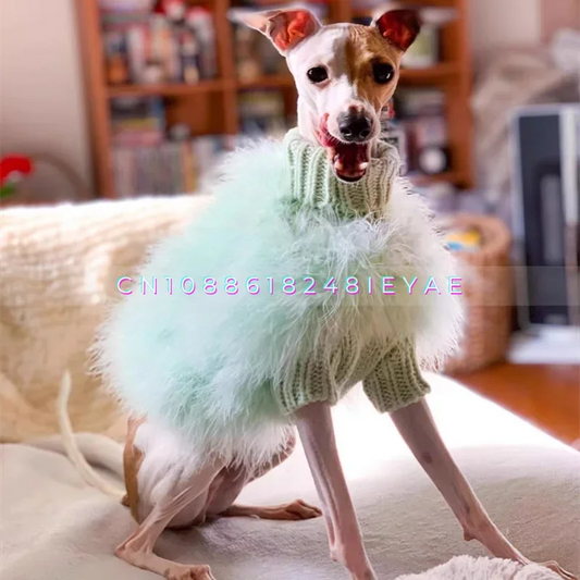 Turkey Feather Autumn and Winter Pet Sweater