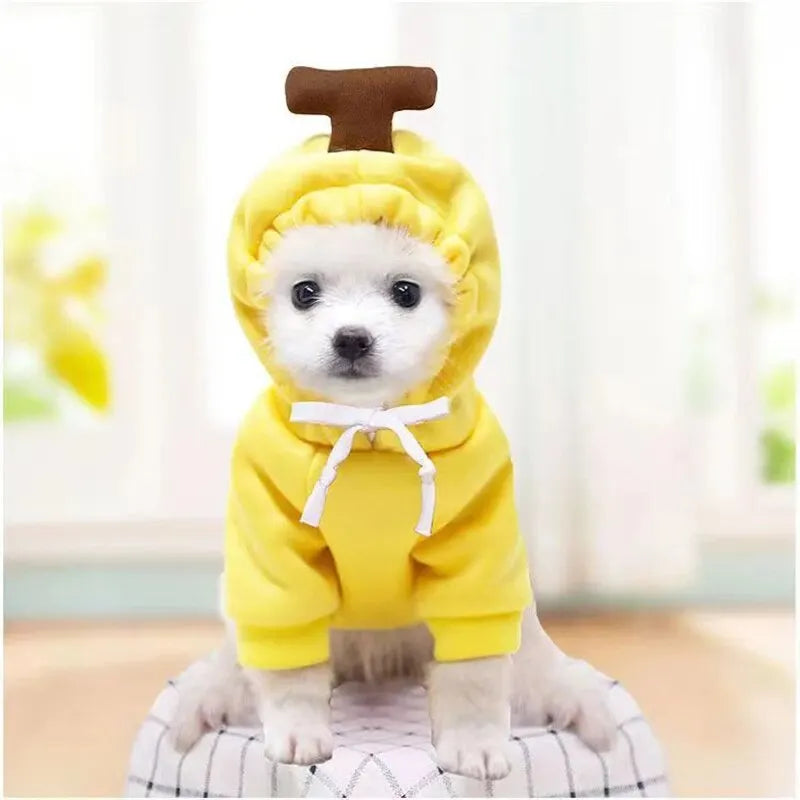 Cute Dog Hoodie