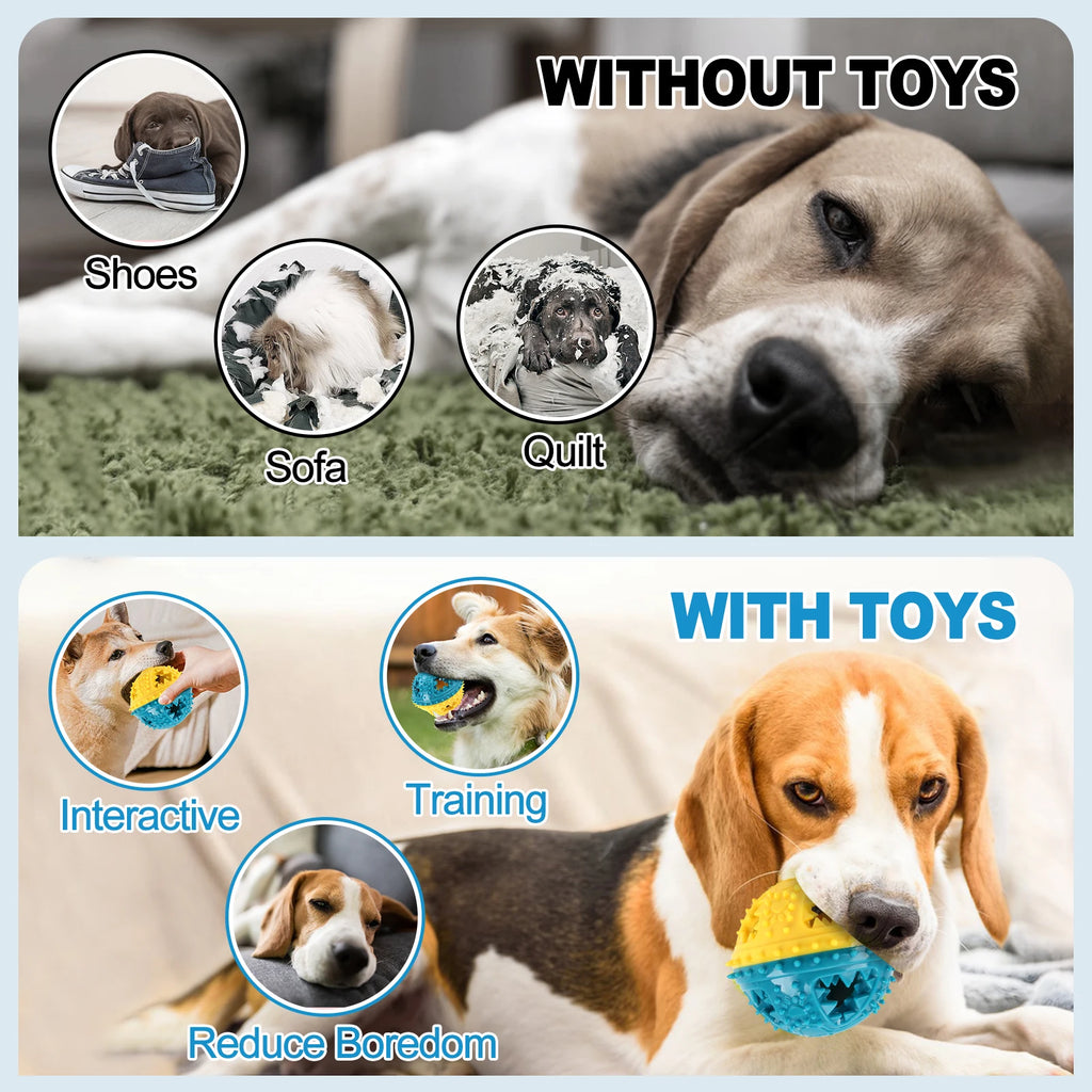 Dog Chew Toys