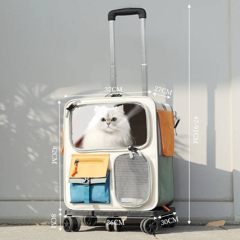Cats Travel Bag Portable