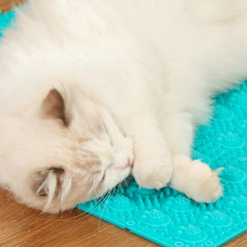 Pet Cat Hair Removal