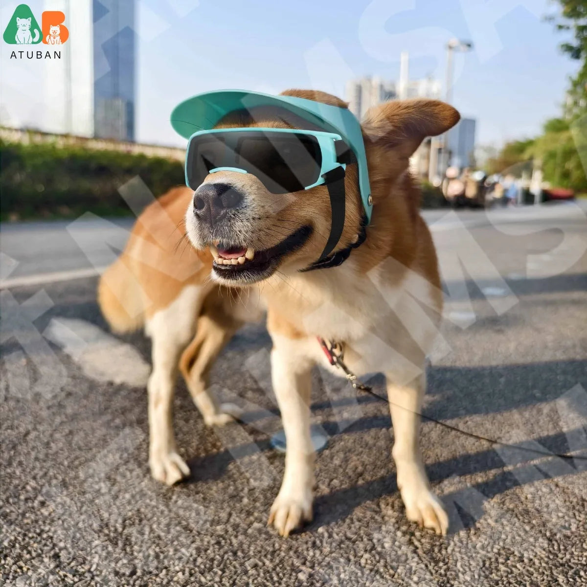 ATUBAN Pet Sun Hat Dog Glasses