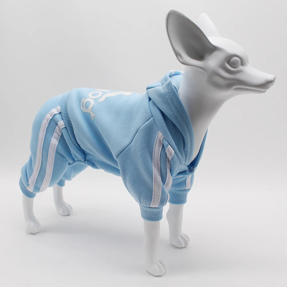 Brand Design Adidog Clothing