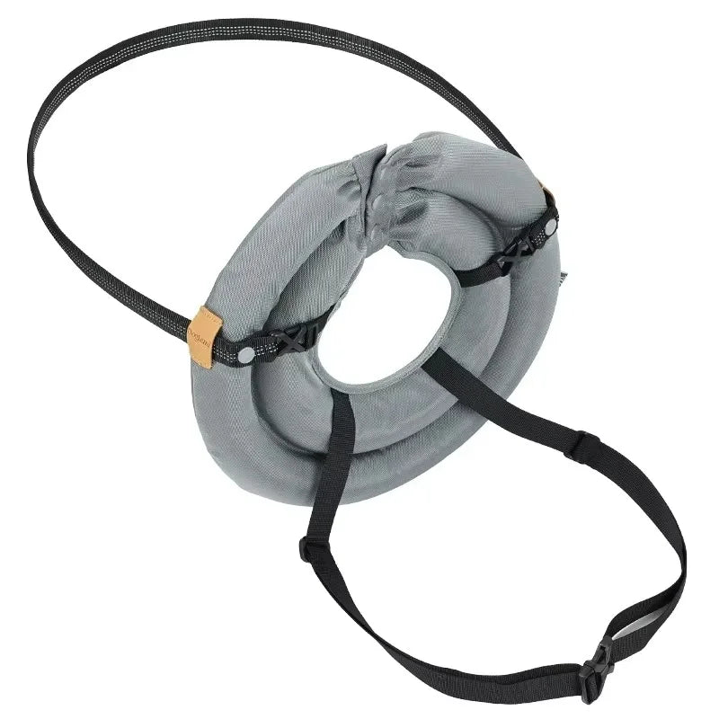 Blind Dog Collar