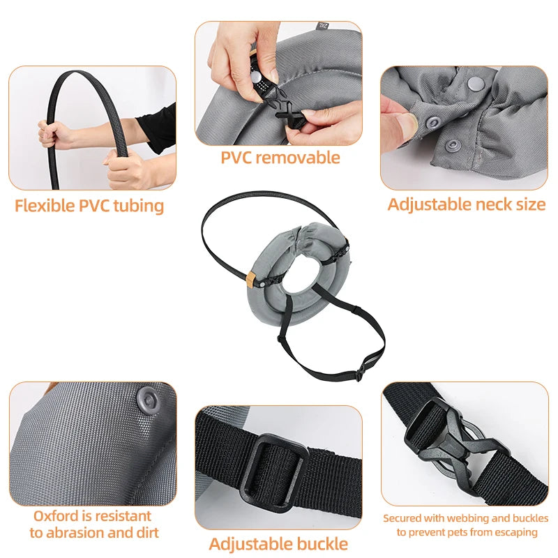 Blind Dog Collar