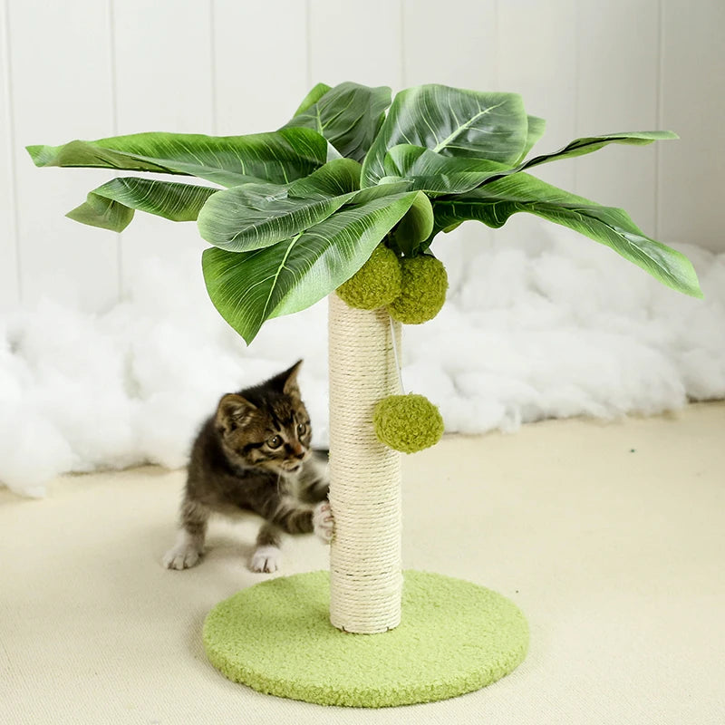 Cat Scratching Post