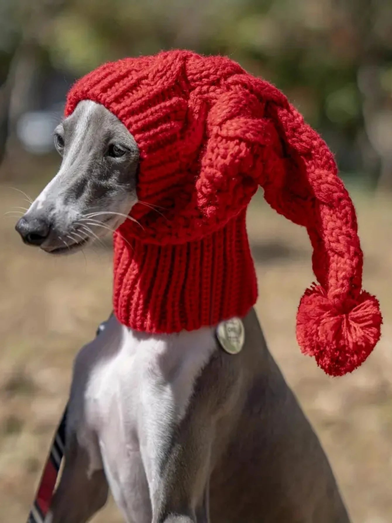 Hand knit winter wool greyhound large dog beanie