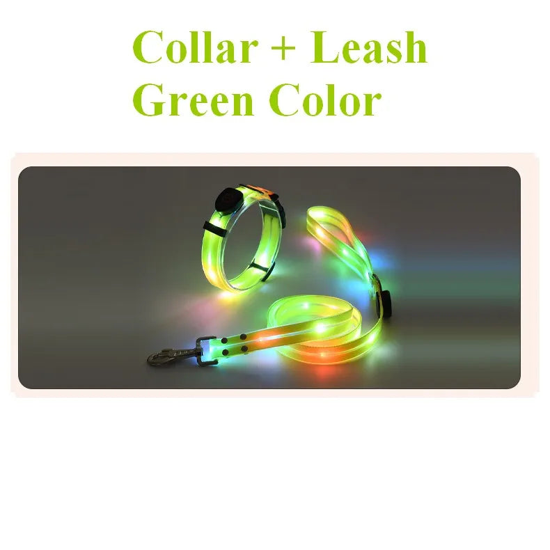 Pet Dog LED Light UP Leash