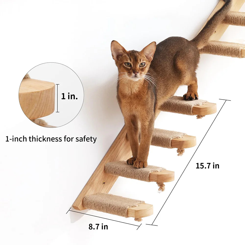 Cat Climbing Shelves Wall Mounted