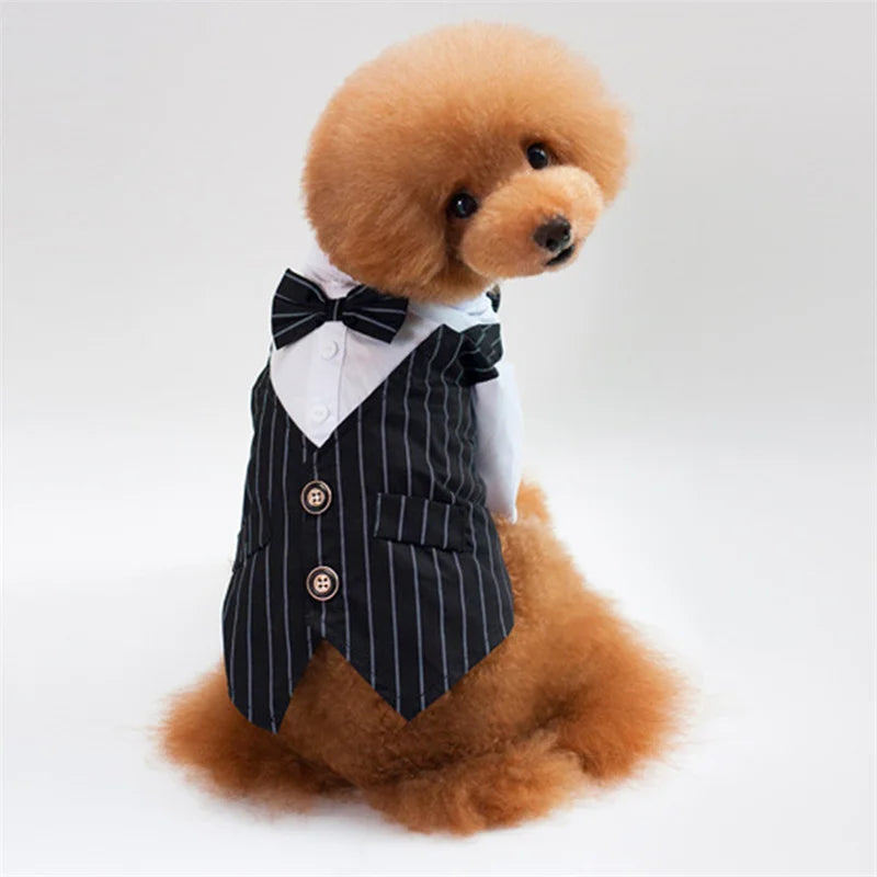 Dog Shirt Stylish Suit