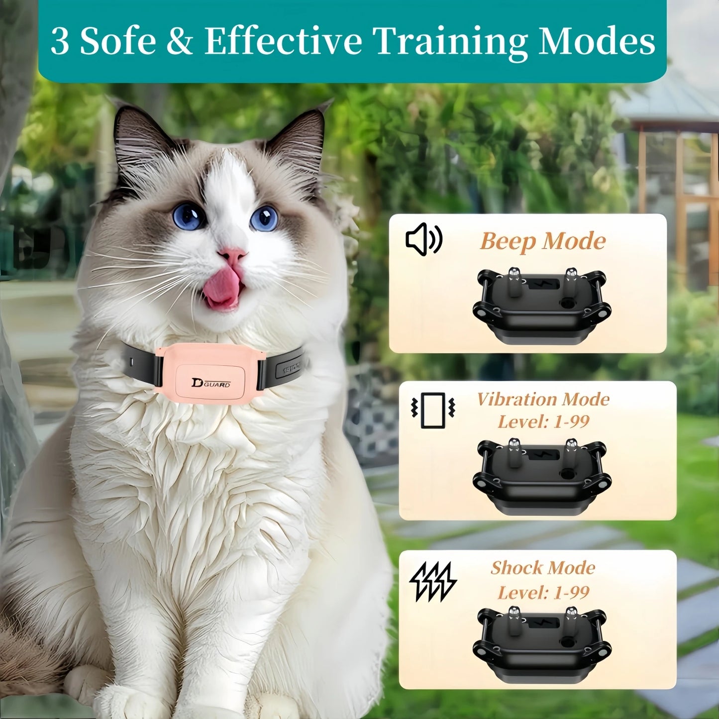 Cat Training Collar