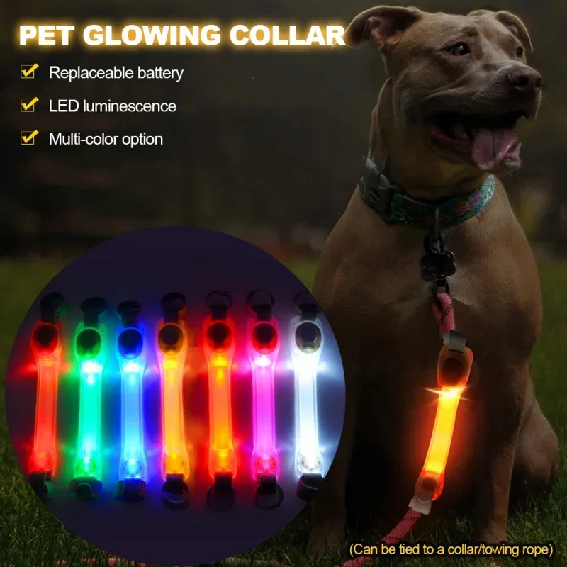 Waterproof Dog Anti-Lost Safety Glowing Collar