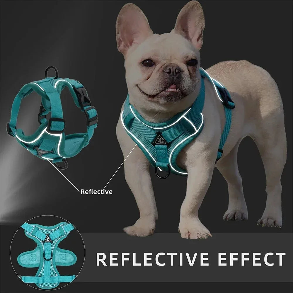 No Pull Dog Harness