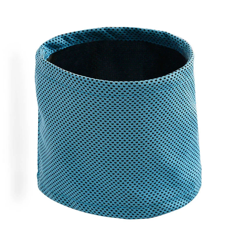 Summer Ice Dog Collar