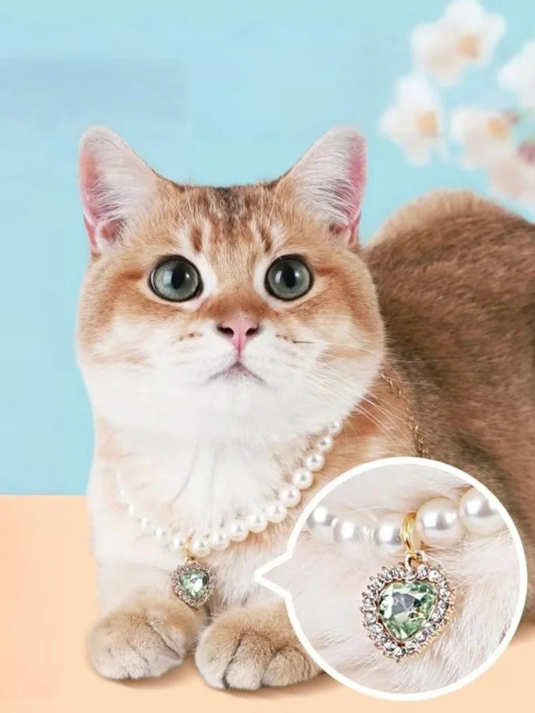 Cute Fashion Pet Supplies