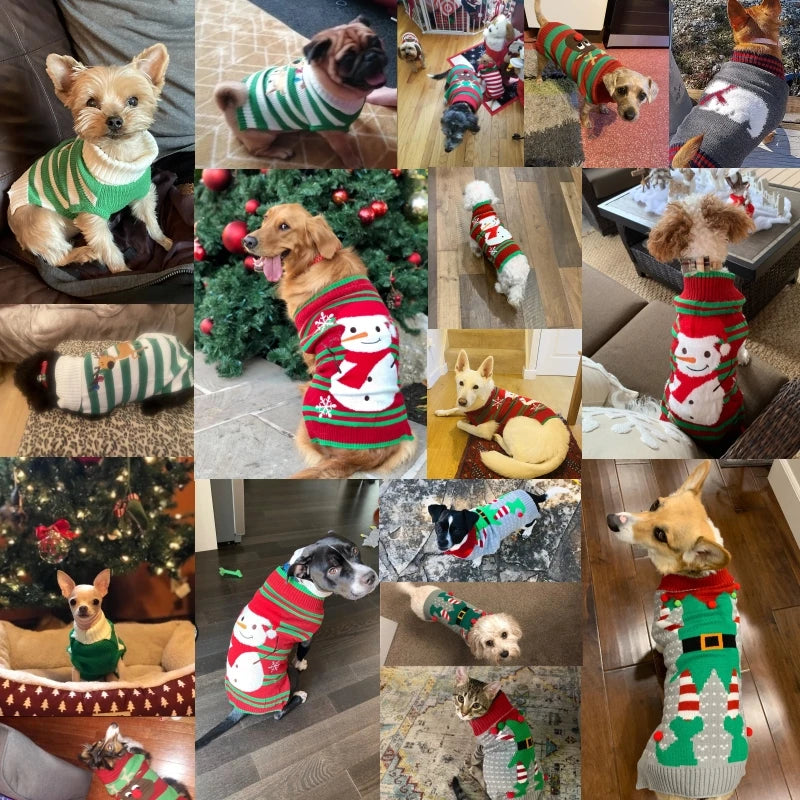 Dog Sweater Christmas