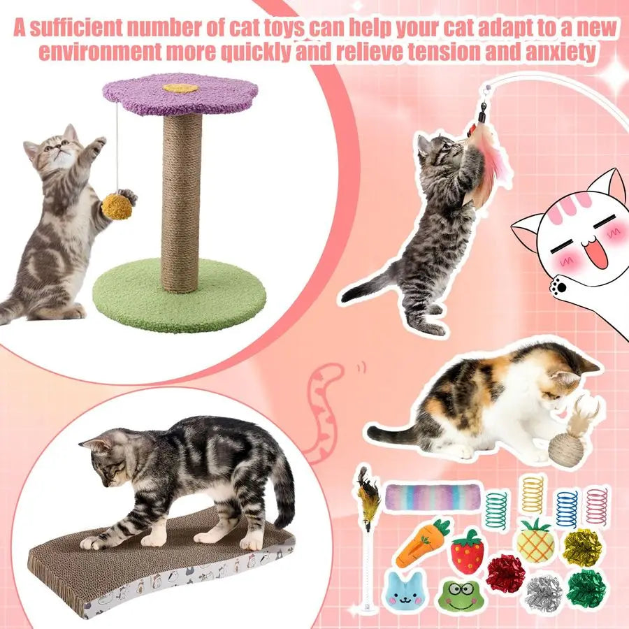 Pcs Kitten Starter Kit for Indoor Cats