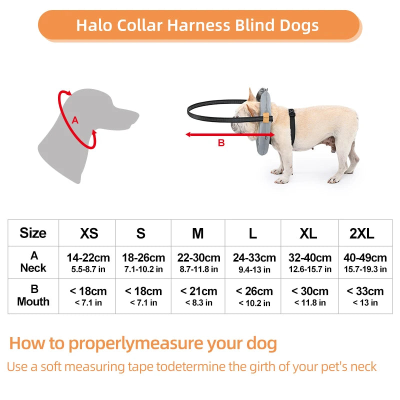 Blind Dog Collar