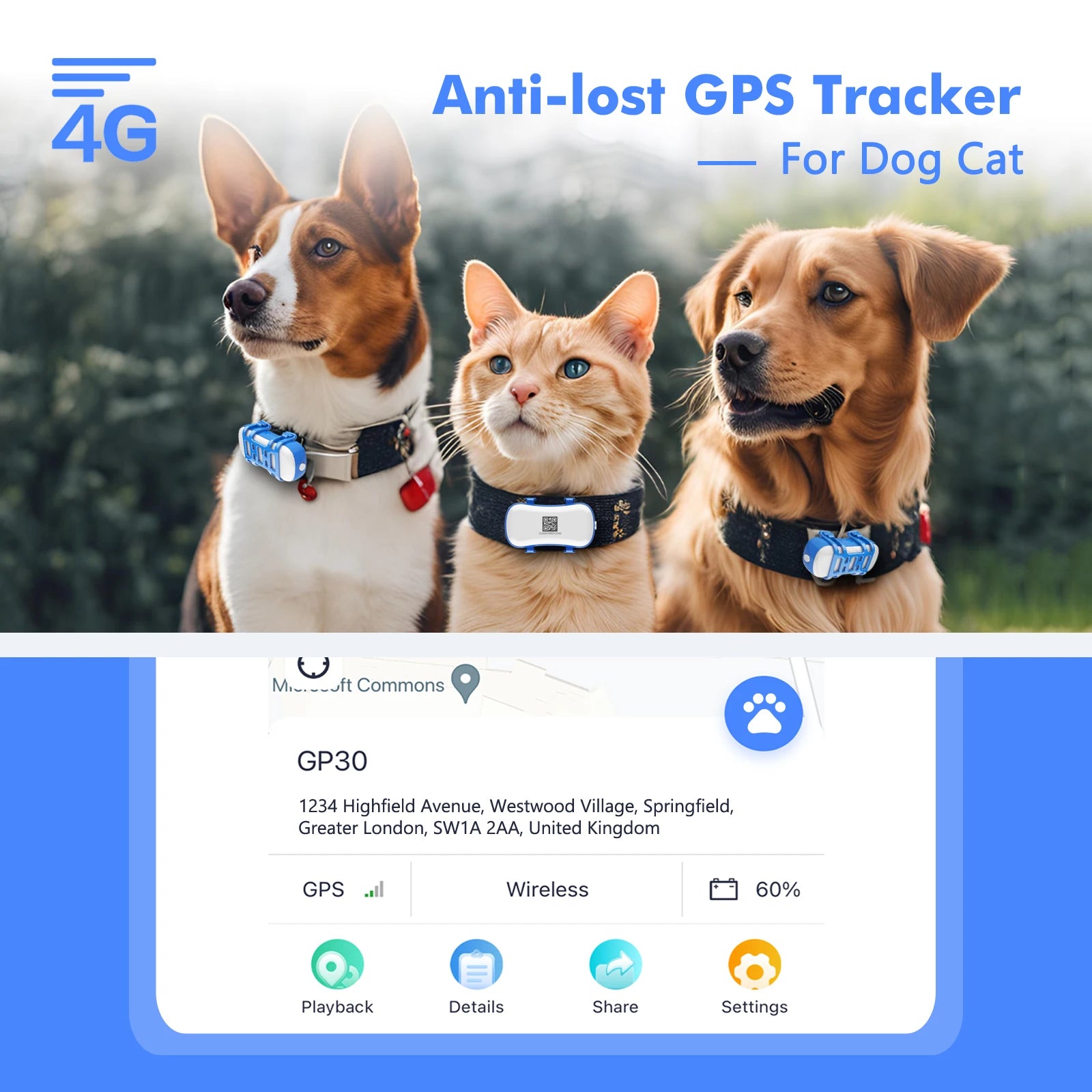 Dog Cat Tracker
