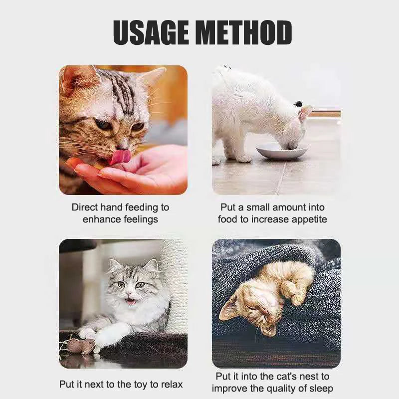 10PCS 1g Cat Mint Powder Catnip Bag