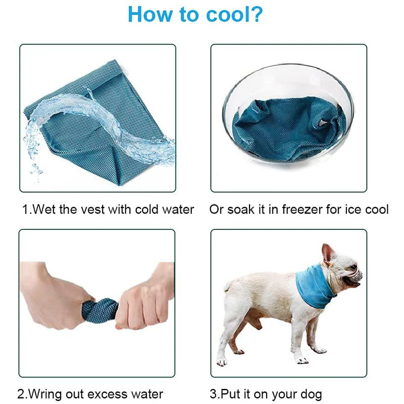 Summer Ice Dog Collar