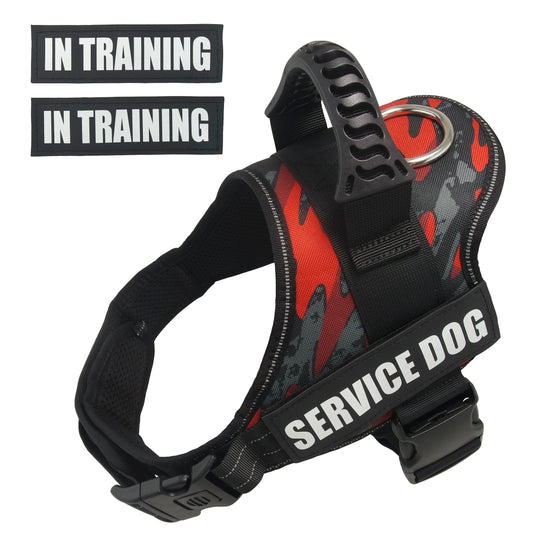 Bulldog Corgi Chihuahua Chest Harness For Service Dogs