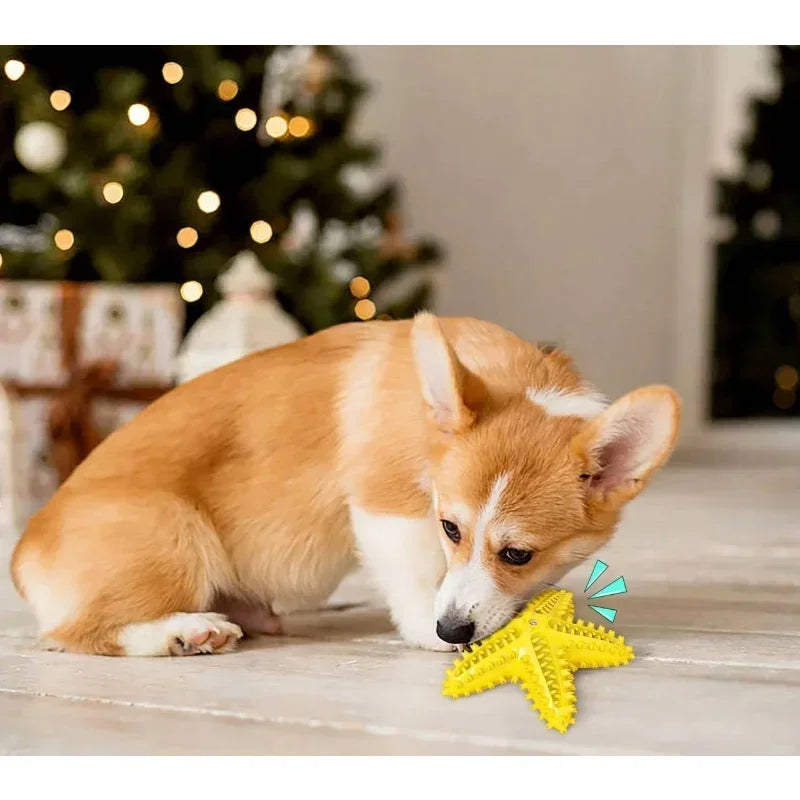 Starfish Dog Toy