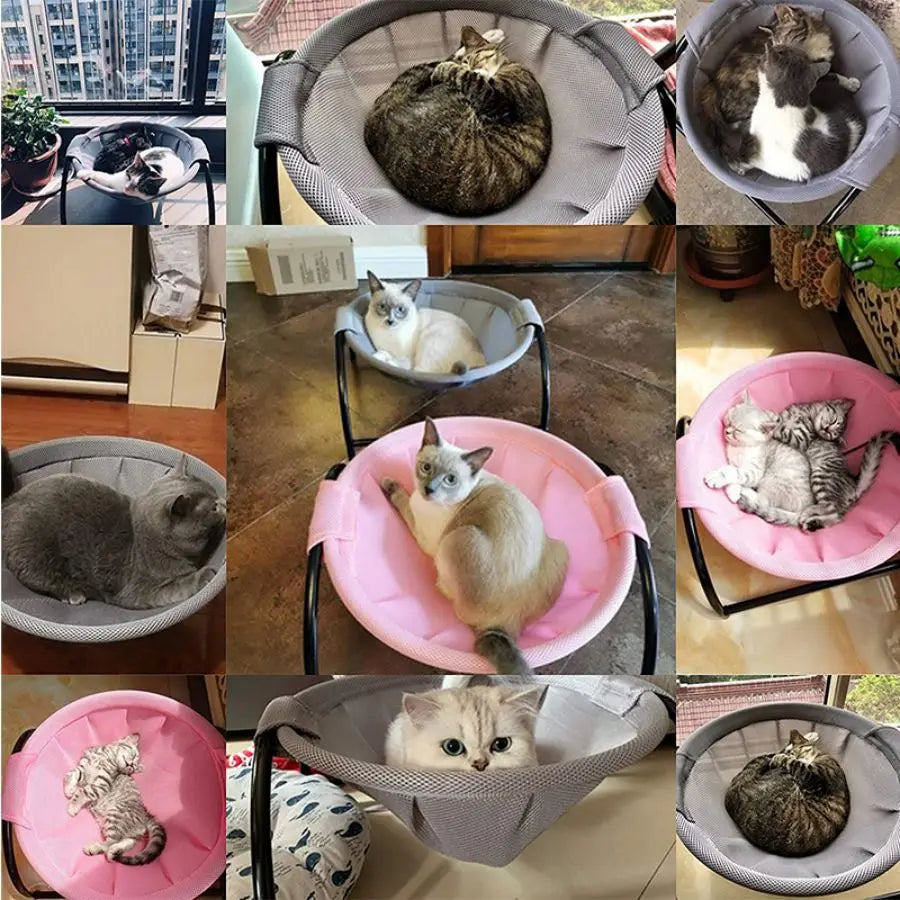 Cat Hammock