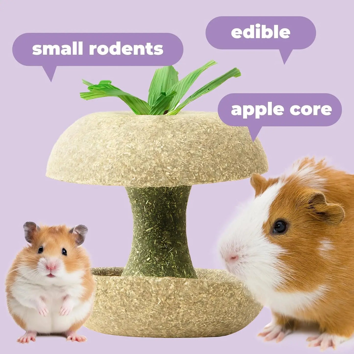 Apple Core Shaped Hamster Chew Toy - Natural Small Pet Dental Treat for Guinea Pig, Rabbit, Chinchilla, Rat