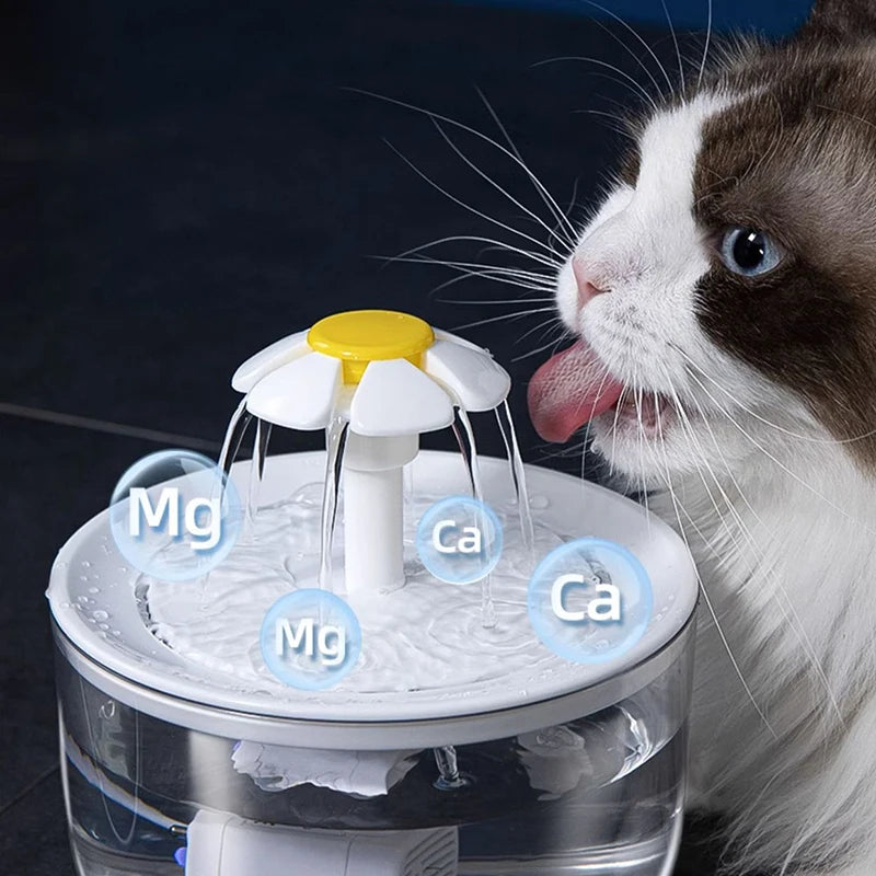 Pets Water Fountain