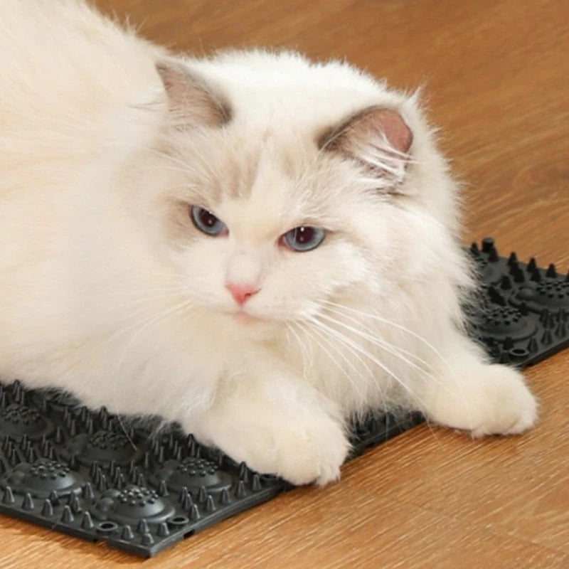 Pet Cat Hair Removal