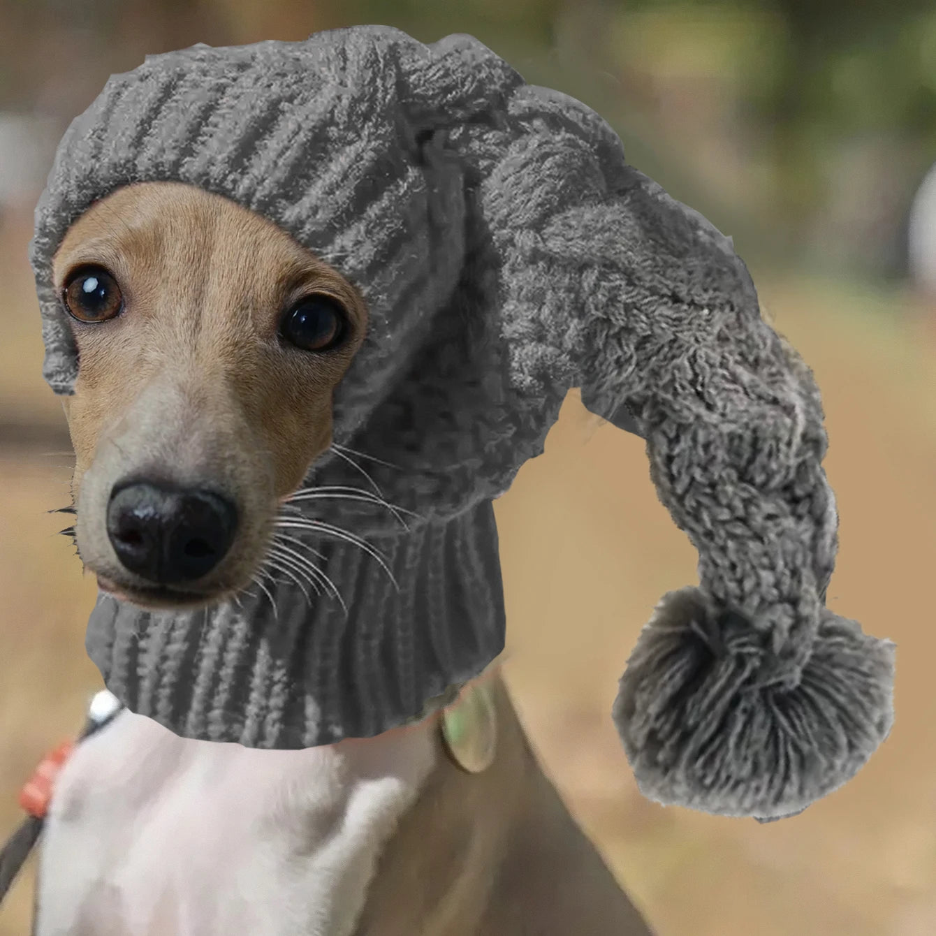Hand knit winter wool greyhound large dog beanie