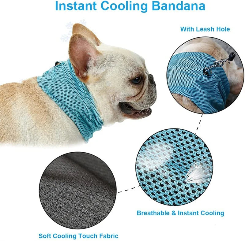 Summer Ice Dog Collar