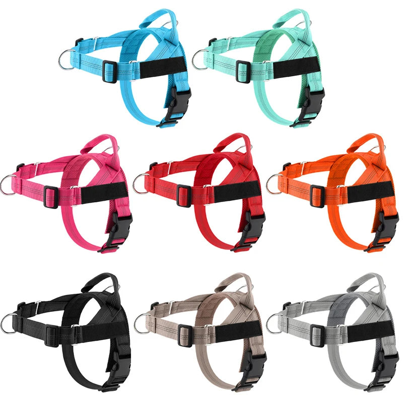 Personalized Reflective No Pull Harness