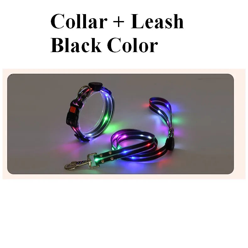 Pet Dog LED Light UP Leash