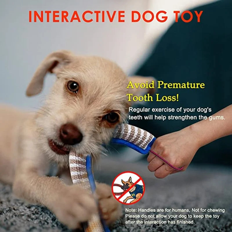 Interactive Dog Toy