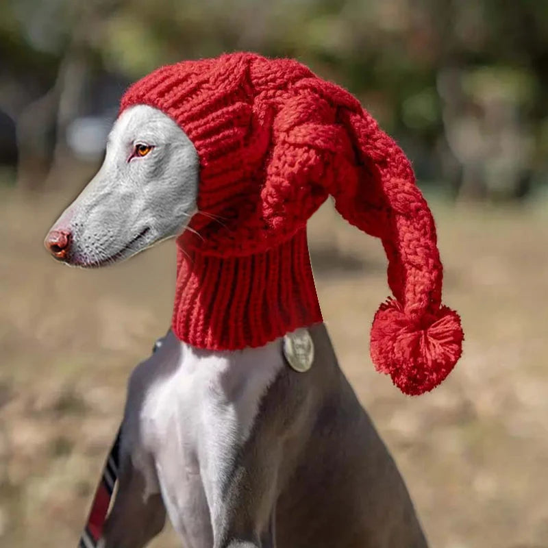 Hand knit winter wool greyhound large dog beanie