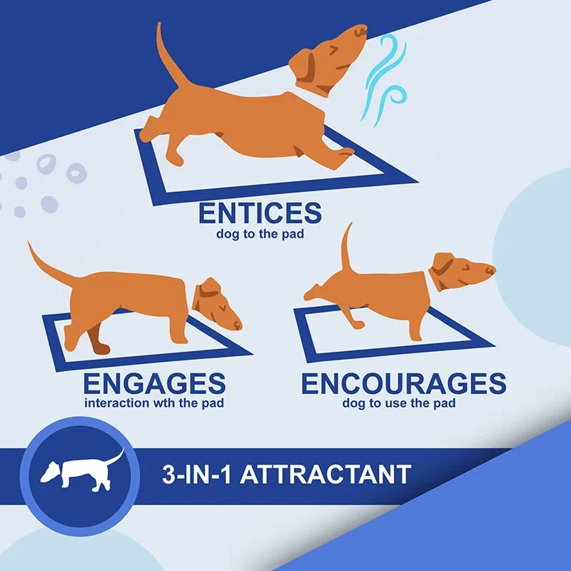 NEW Absorbent Dogs Diapers Disposable