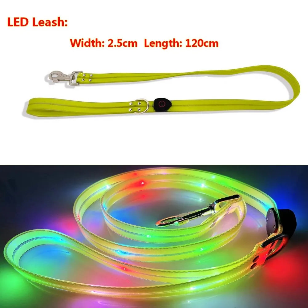 Pet Dog LED Light UP Leash