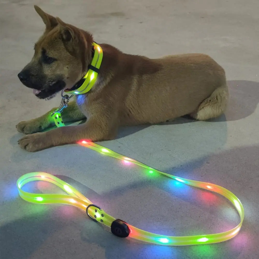 Pet Dog LED Light UP Leash