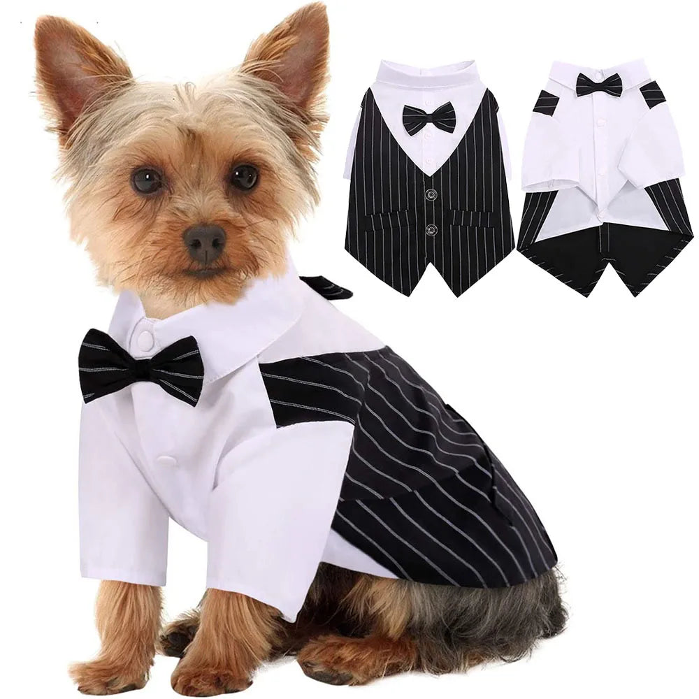 Boy Dogs Tuxedo Suit