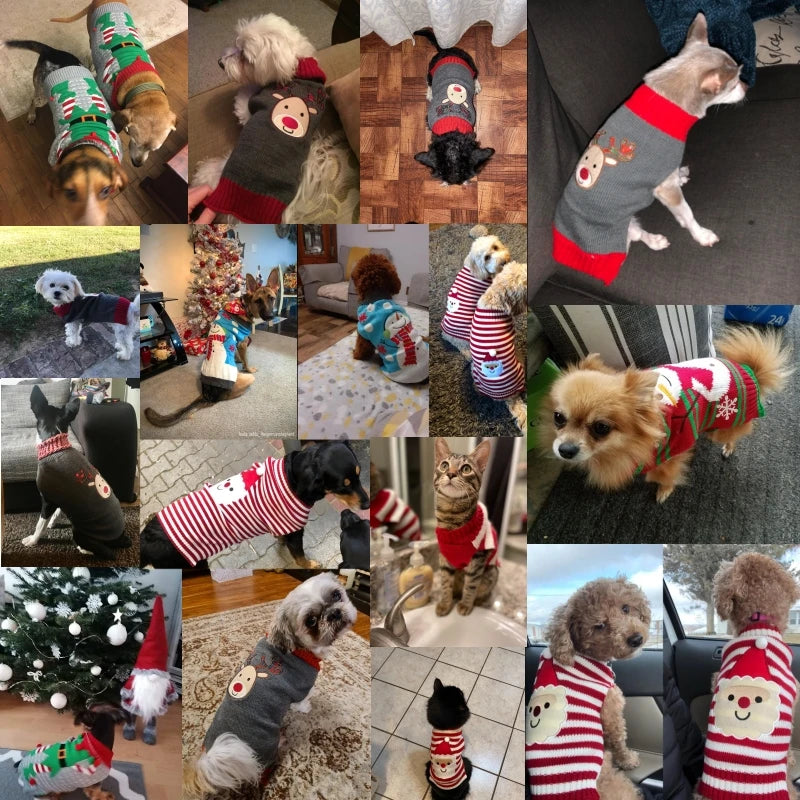 Dog Sweater Christmas