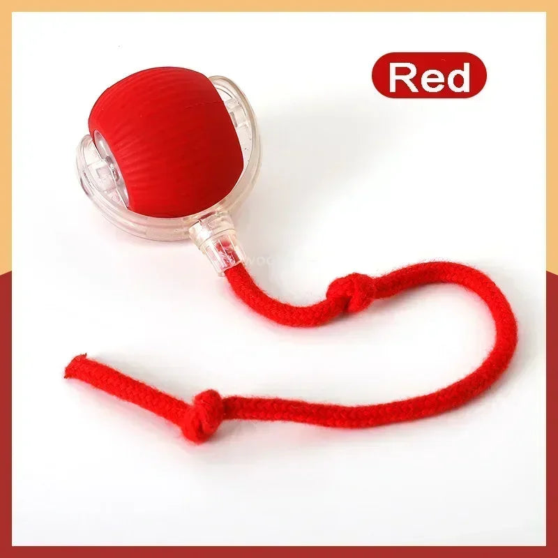 Hot Electric Dog Ball