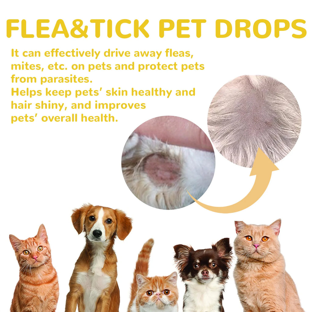 Cat Anti Flea Drops
