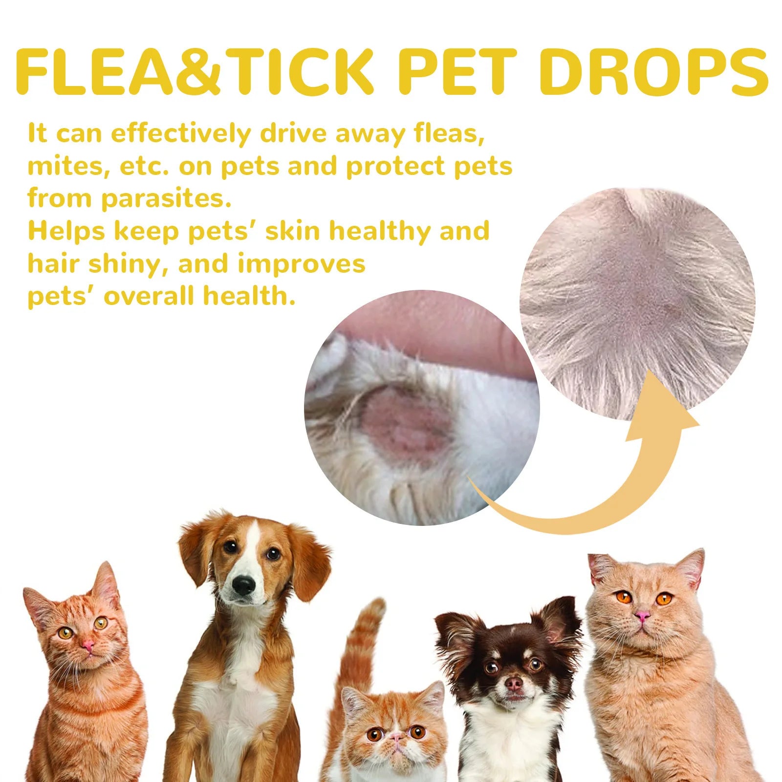 Cat Anti Flea Drops