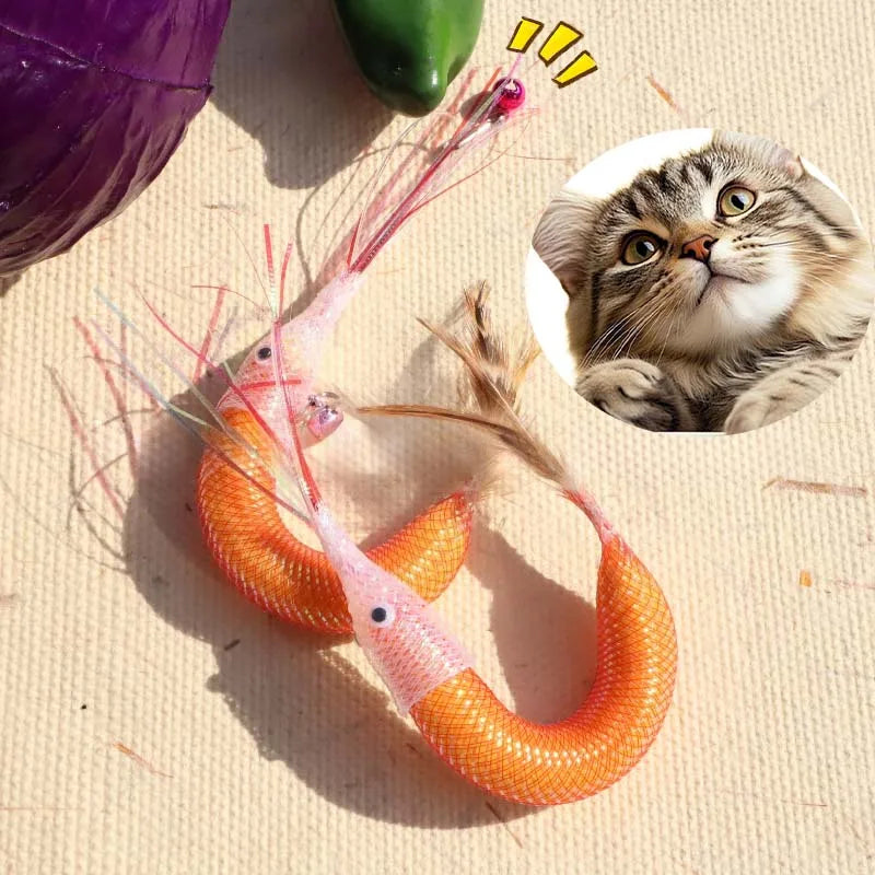 Cat Teaser Toy