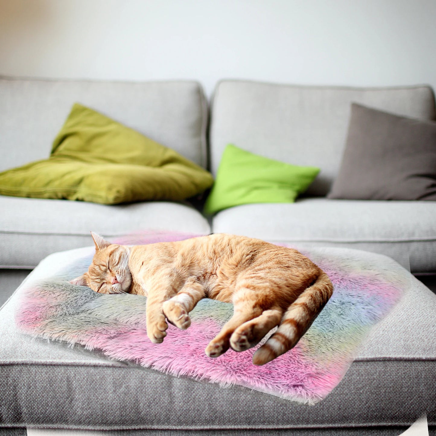 Bed for Cats