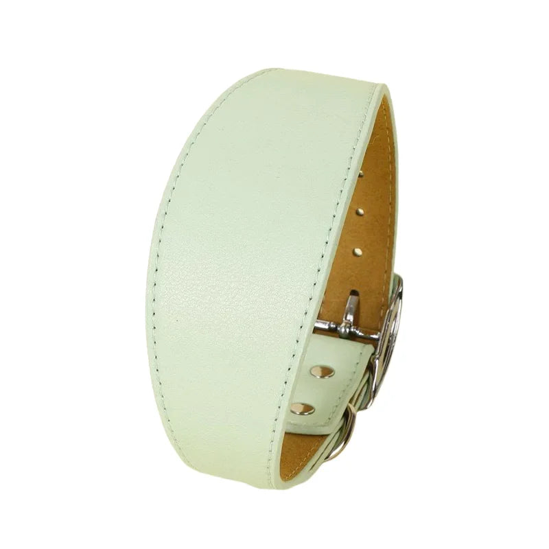 PU Pet Collar Adjustable Dog Collar