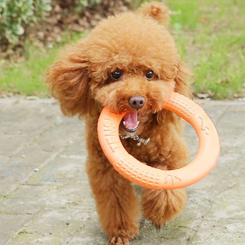 1pc Orange Dog Toys Pet Flying Disk